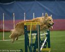 20150321-leap-1230