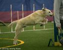 20150321-leap-1237