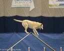 20150321-leap-1239