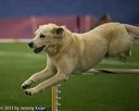 20150321-leap-1247