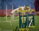 20150321-leap-1256