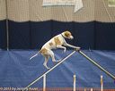 20150321-leap-1259