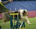 20150321-leap-1264