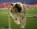 20150321-leap-1266