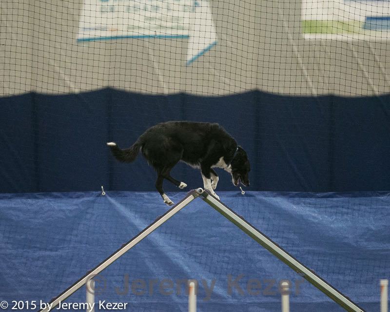 20150321-leap-0784.jpg