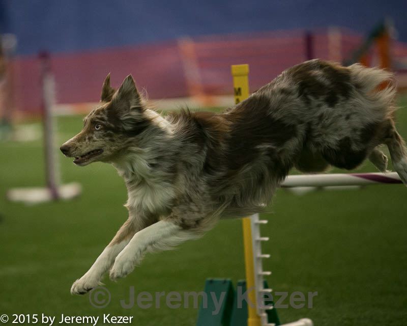 20150321-leap-0798.jpg