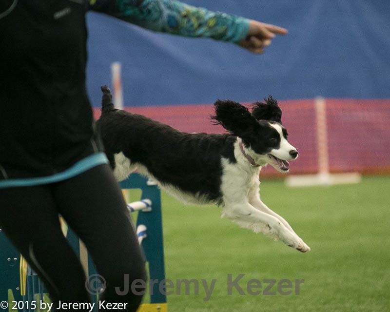 20150321-leap-0799.jpg