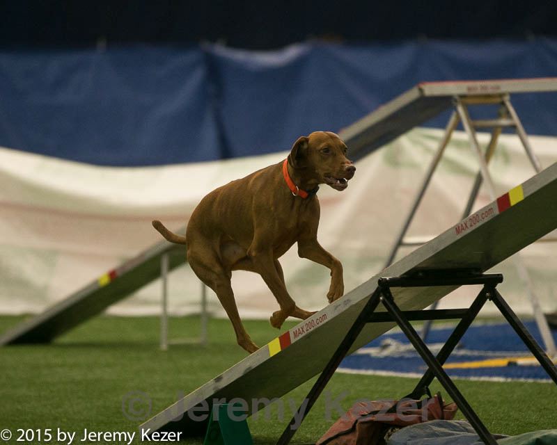 20150321-leap-0820.jpg