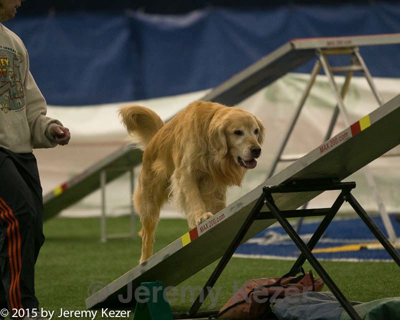 20150321-leap-0832.jpg