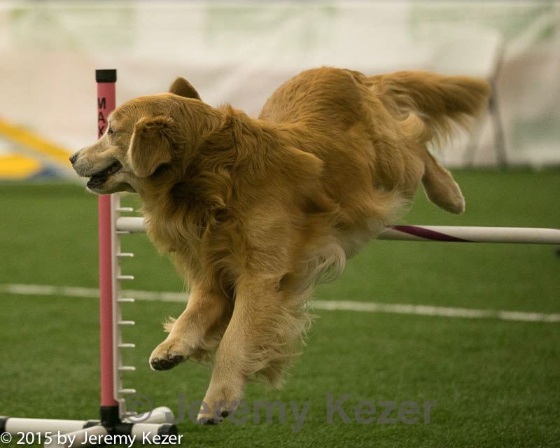 20150321-leap-0852.jpg