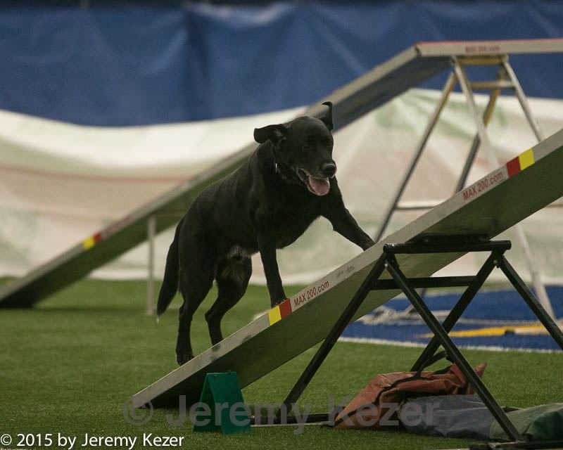 20150321-leap-0902.jpg