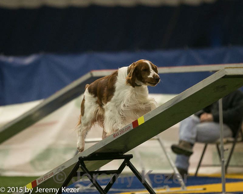 20150321-leap-0932.jpg