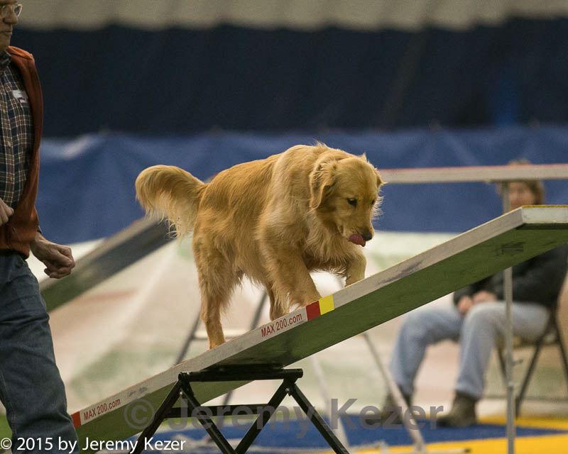 20150321-leap-0972.jpg