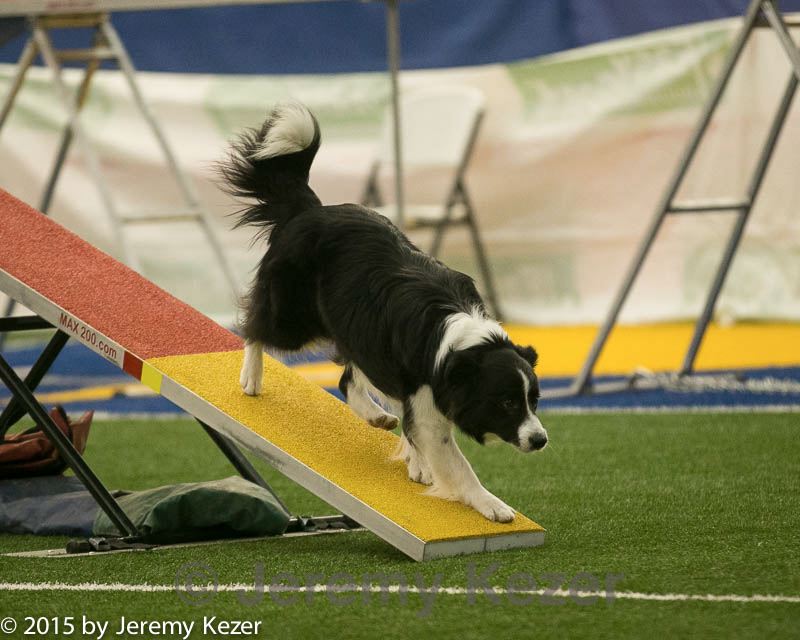 20150321-leap-0997.jpg