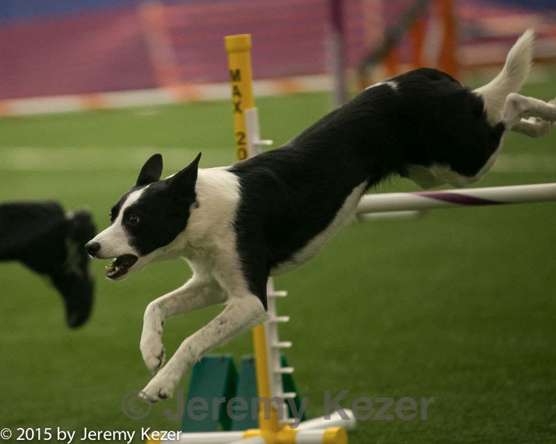 20150321-leap-1024.jpg