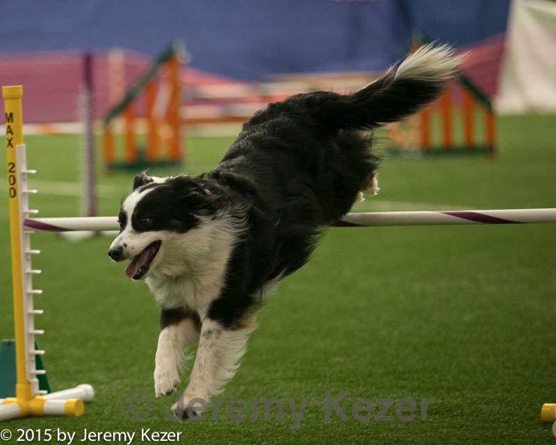 20150321-leap-1033.jpg