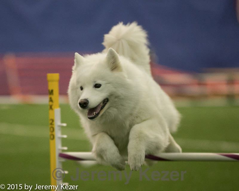 20150321-leap-1036.jpg