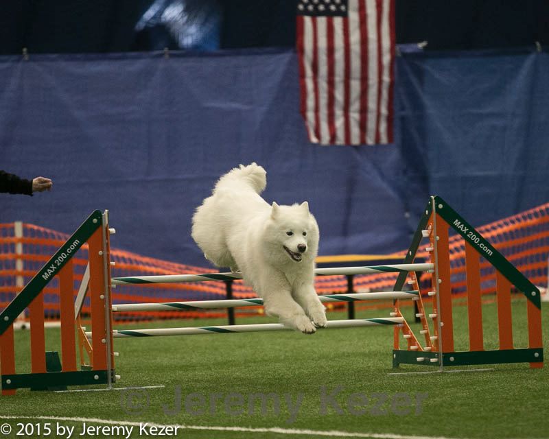 20150321-leap-1038.jpg
