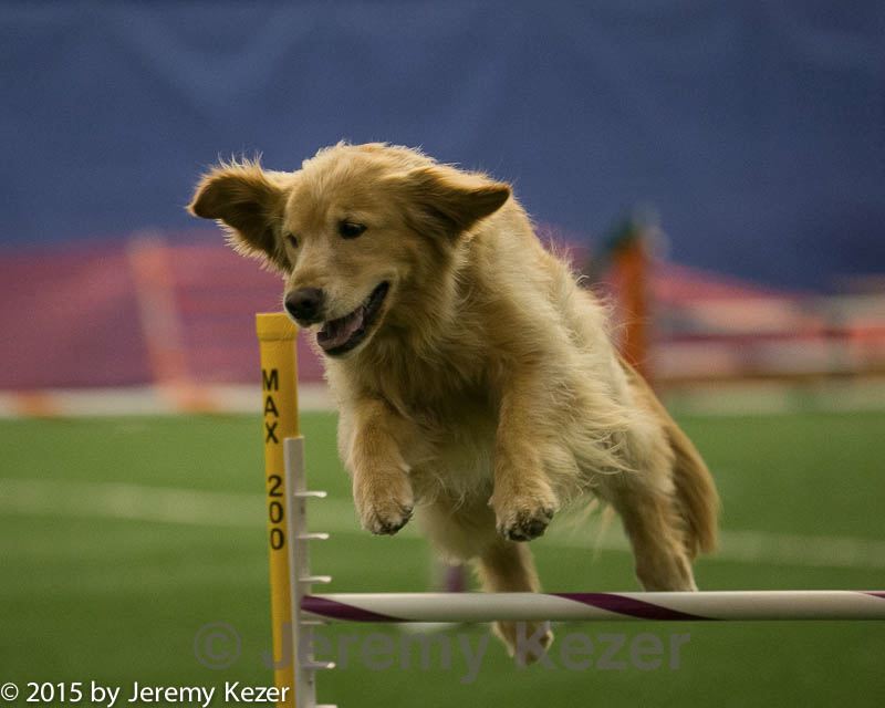 20150321-leap-1068.jpg