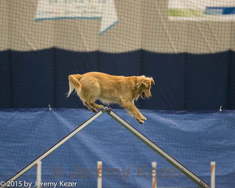 20150321-leap-1071.jpg