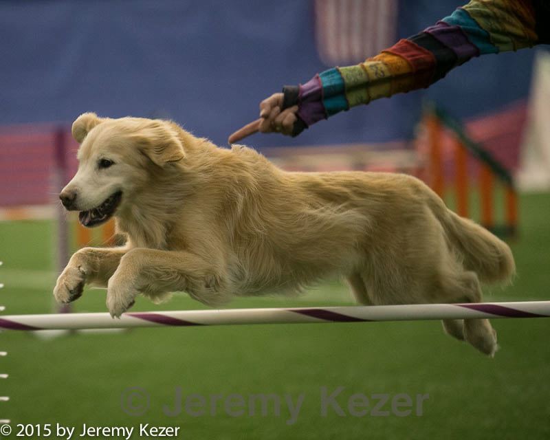 20150321-leap-1111.jpg