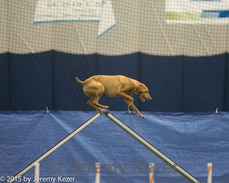 20150321-leap-1169.jpg