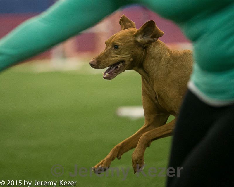 20150321-leap-1177.jpg