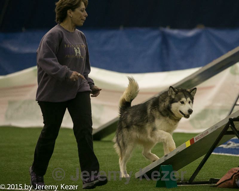 20150321-leap-1215.jpg