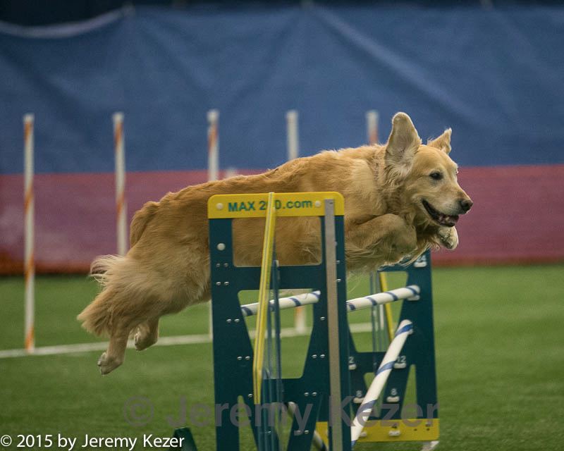 20150321-leap-1230.jpg