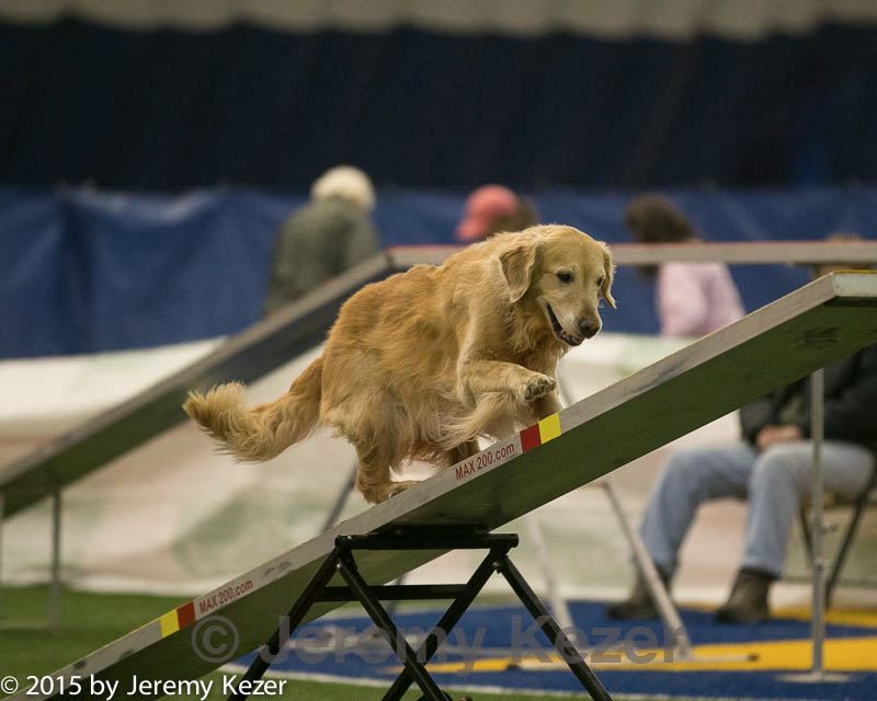 20150321-leap-1234.jpg
