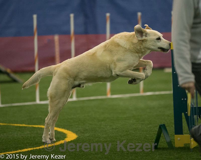 20150321-leap-1237.jpg