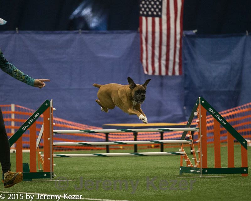 20150321-leap-1251.jpg