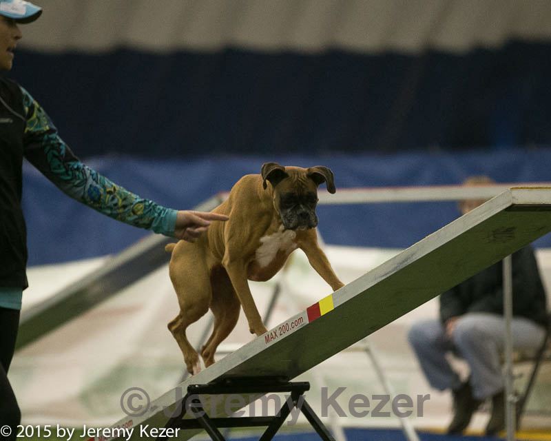 20150321-leap-1253.jpg