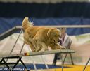 20150321-leap-0519