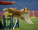 20150321-leap-0532