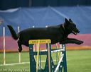 20150321-leap-0538