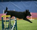 20150321-leap-0539