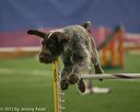 20150321-leap-0548