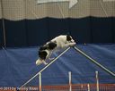 20150321-leap-0555