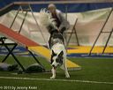 20150321-leap-0559