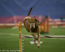 20150321-leap-0563