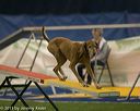 20150321-leap-0568