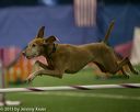 20150321-leap-0569
