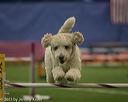 20150321-leap-0573