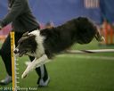 20150321-leap-0609