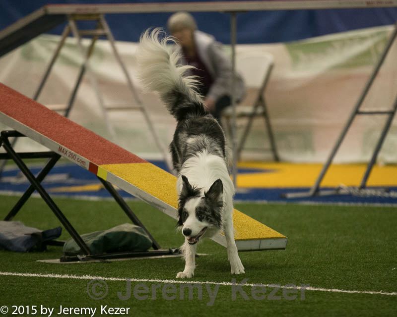 20150321-leap-0559.jpg