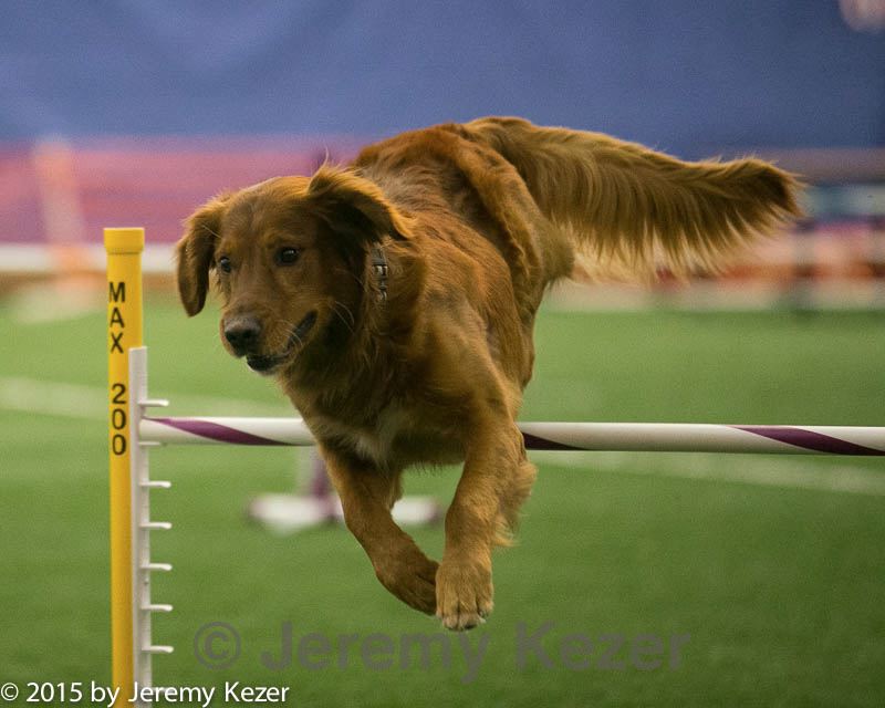 20150321-leap-0590.jpg