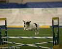 20150321-leap-0501