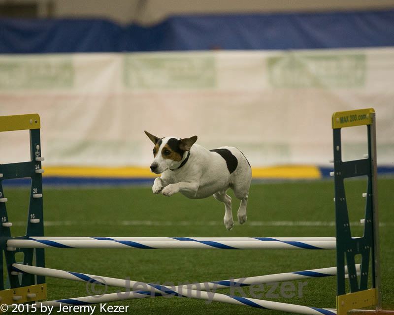 20150321-leap-0501.jpg