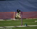 20150321-leap-0482
